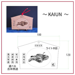 2025eto「令和７年縁起絵馬」＿巳　選べる柄６種：飾り紐プレゼント 12枚目の画像