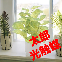 光触媒　人工観葉植物　ウォールグリーン　フェイクグリーン　ユーカリポット 光触媒 人工観葉植物 ウォールグリーン フェイクグリーン