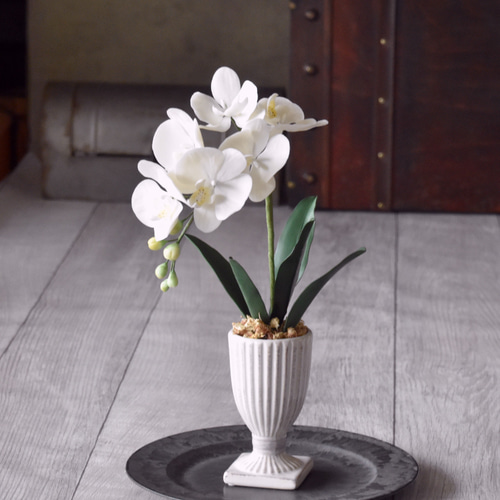 ◇粘土のお花◇ ミニ胡蝶蘭 K1103-1 アートフラワー Old-Fantasy 通販