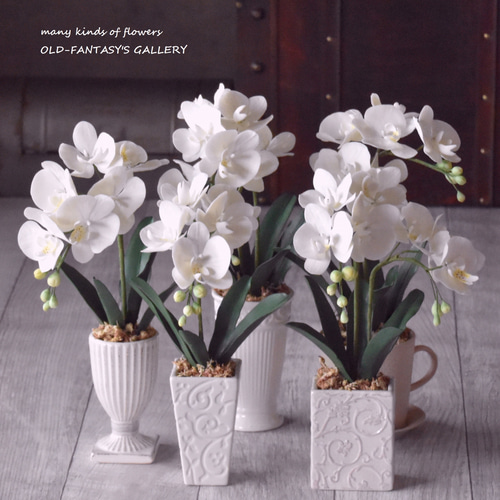 ◇粘土のお花◇ ミニ胡蝶蘭 K1103-1 アートフラワー Old-Fantasy 通販