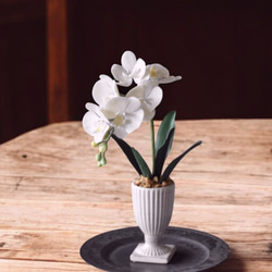 ◇粘土のお花◇ ミニ胡蝶蘭 K1103-1 アートフラワー Old-Fantasy 通販