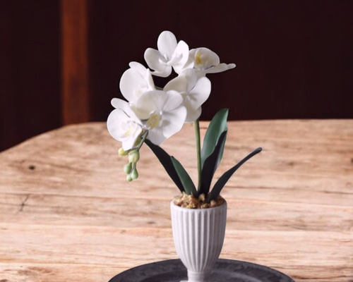 8dfaa047b15df53389129db11db481