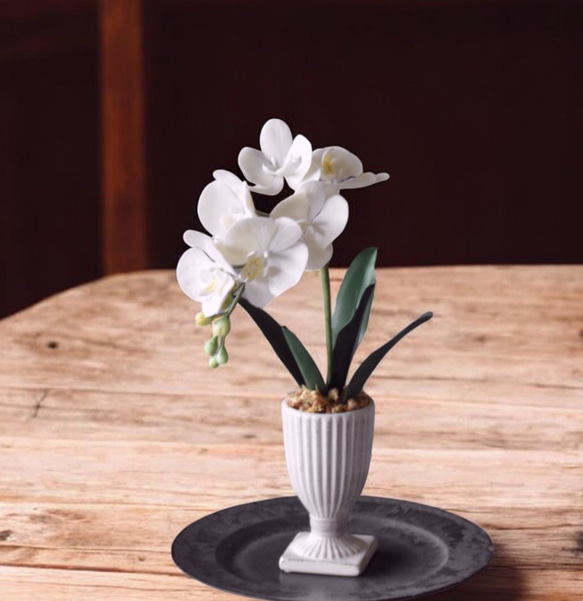 ◇粘土のお花◇ ミニ胡蝶蘭 K1103-1 アートフラワー Old-Fantasy 通販