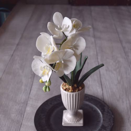 ◇粘土のお花◇ ミニ胡蝶蘭 K1103-1 アートフラワー Old-Fantasy 通販