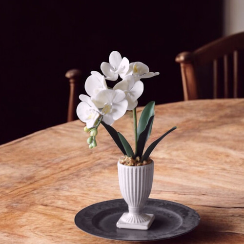 ◇粘土のお花◇ ミニ胡蝶蘭 K1103-1 アートフラワー Old-Fantasy 通販