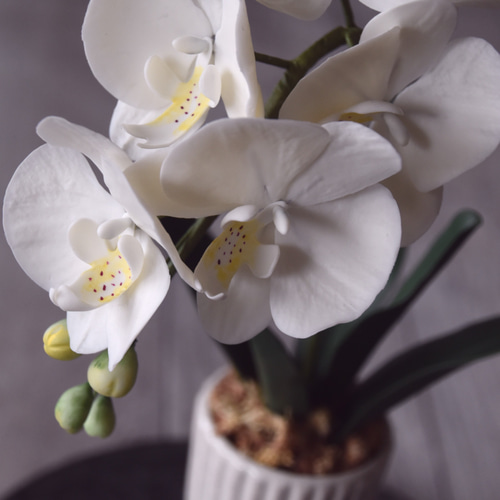 ◇粘土のお花◇ ミニ胡蝶蘭 K1103-1 アートフラワー Old-Fantasy 通販