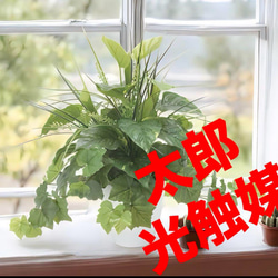 光触媒　人工観葉植物　ウォールグリーン　フェイクグリーン　ユーカリツリー1.65 光触媒 人工観葉植物 ウォールグリーン フェイクグリーン ユーカリ