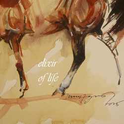 Dressage Horse 2025（高級水彩画用紙３２ｃｍ×４１，５ｃｍ、墨、水彩） 2枚目の画像