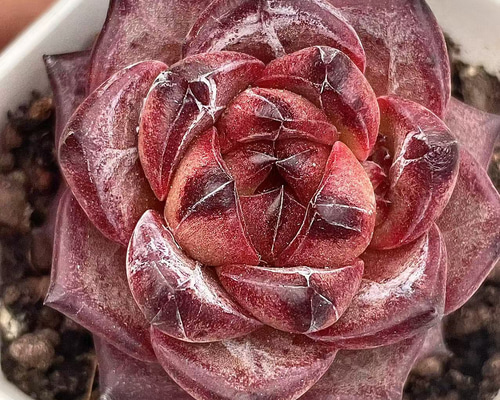 3c2c7690fec595059ad6a9e5fe6330