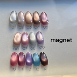 大人気‼️ 微粒子マグネット うるうる ぷるぷる 春夏秋冬 ネイルチップ