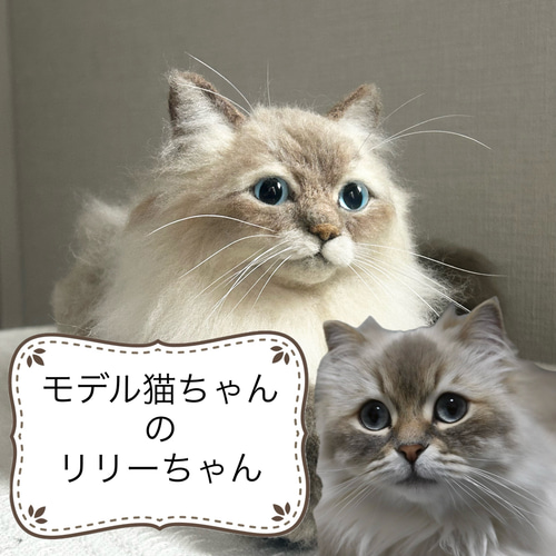 羊毛フェルトオーダー】うちの子オーダー、羊毛フェルト 猫
