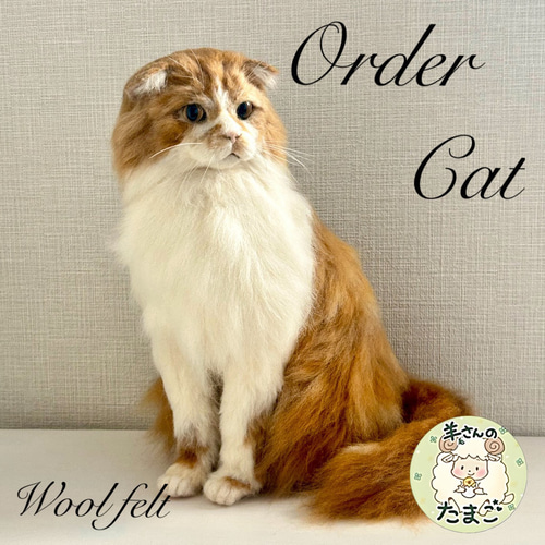 羊毛フェルト ふにゃんこのオーダー受付ページ 楽天市場】オーダーメイド 羊毛フェルト ねこちゃん お写真から