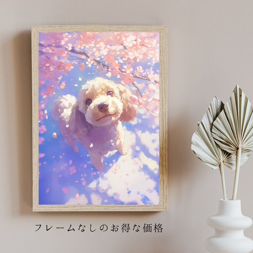桜犬戯舞 - トイプードル犬 No.1】桜・花見・春・花びら・子犬・ペット