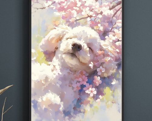 桜犬戯舞 - トイプードル犬 No.2】桜・花見・春・花びら・子犬・ペット