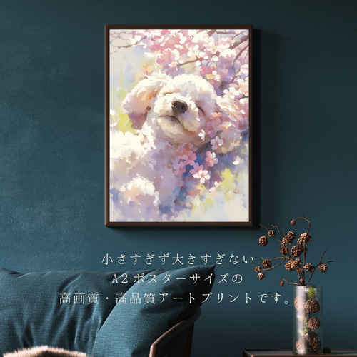 桜犬戯舞 - トイプードル犬 No.2】桜・花見・春・花びら・子犬・ペット