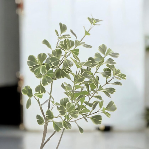 光触媒 人工観葉植物 ウォールグリーン フェイクグリーン 光触媒 人工観葉植物 ウォールグリーン フェイクグリーン