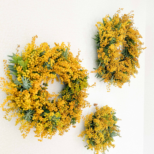 ミモザのフレッシュリース 30cm｜ 春のおしゃれなドライフラワーリース