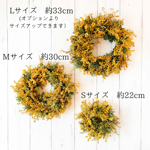 ミモザのフレッシュリース 30cm｜ 春のおしゃれなドライフラワーリース