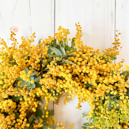 ミモザのフレッシュリース 30cm｜ 春のおしゃれなドライフラワーリース