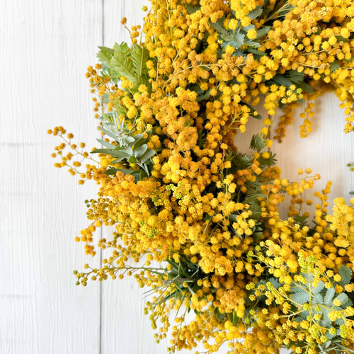 ミモザのフレッシュリース 30cm｜ 春のおしゃれなドライフラワーリース