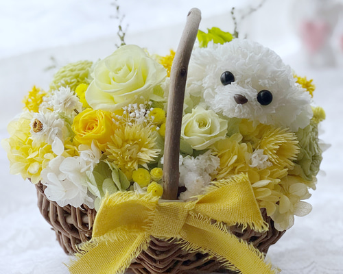 クリームイエローフラワー、幅広シュシュ、わんちゃん猫ちゃん用 クリームイエローフラワー、短毛シュシュ、わんちゃん猫ちゃん用