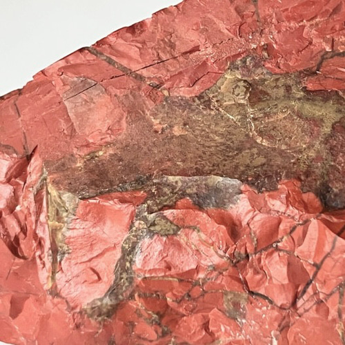 リアル佐渡赤玉石 原石 ③ 赤碧玉 国産レッドジャスパー 天然石