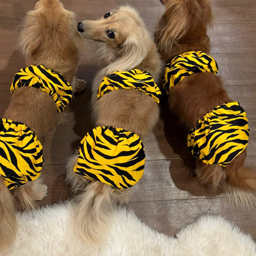 犬用 節分 ☆パンツ 単品☆ ペット服・アクセサリー nana16shop 通販