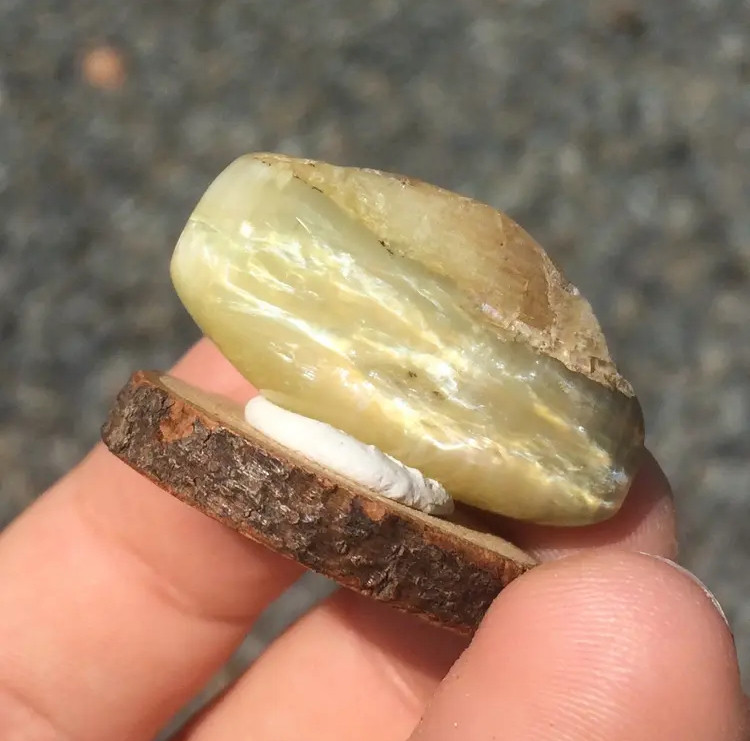 イエローキャッツアイオパール 磨き石  木の台座付　Tanzanian Yellow Cats eye Opal 9,984円