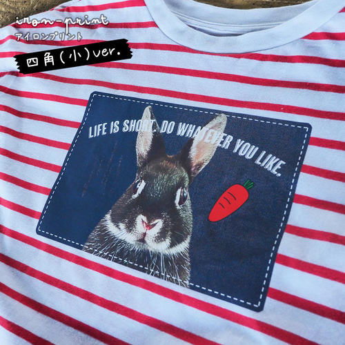 アイロンプリント 青いTシャツ imgrc0076771292.jpg