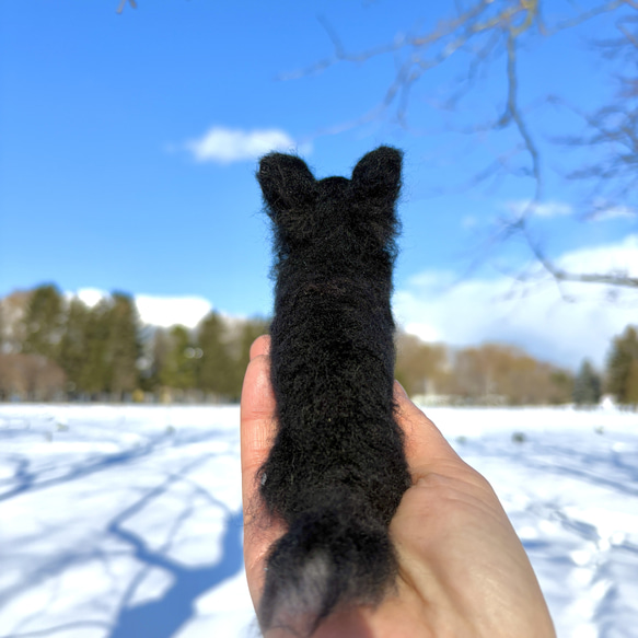 【Biancaちゃん専用】【大切な子】オーダーチワワ 羊毛フェルトチワワ 20枚目の画像