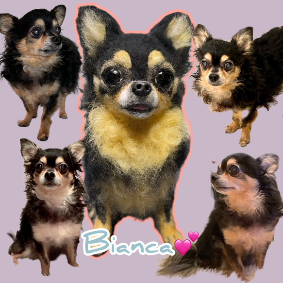 【Biancaちゃん専用】【大切な子】オーダーチワワ 羊毛フェルトチワワ 4枚目の画像