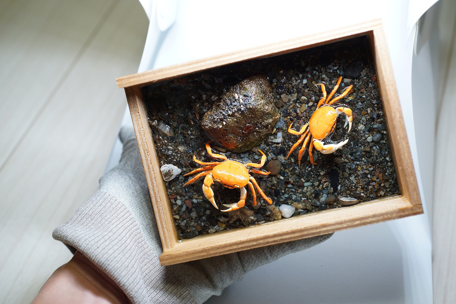 サワガニ　木箱のミニジオラマ(小) K03