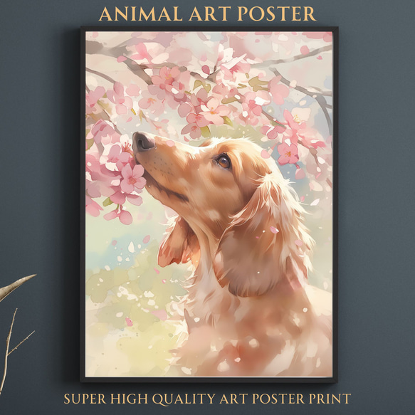 桜犬戯舞 - ダックスフンド犬 No.2】桜・花見・春・花びら・子犬