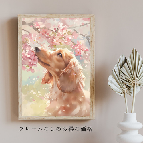 桜犬戯舞 - ダックスフンド犬 No.2】桜・花見・春・花びら・子犬