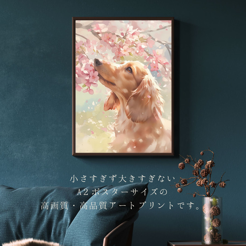 桜犬戯舞 - ダックスフンド犬 No.2】桜・花見・春・花びら・子犬