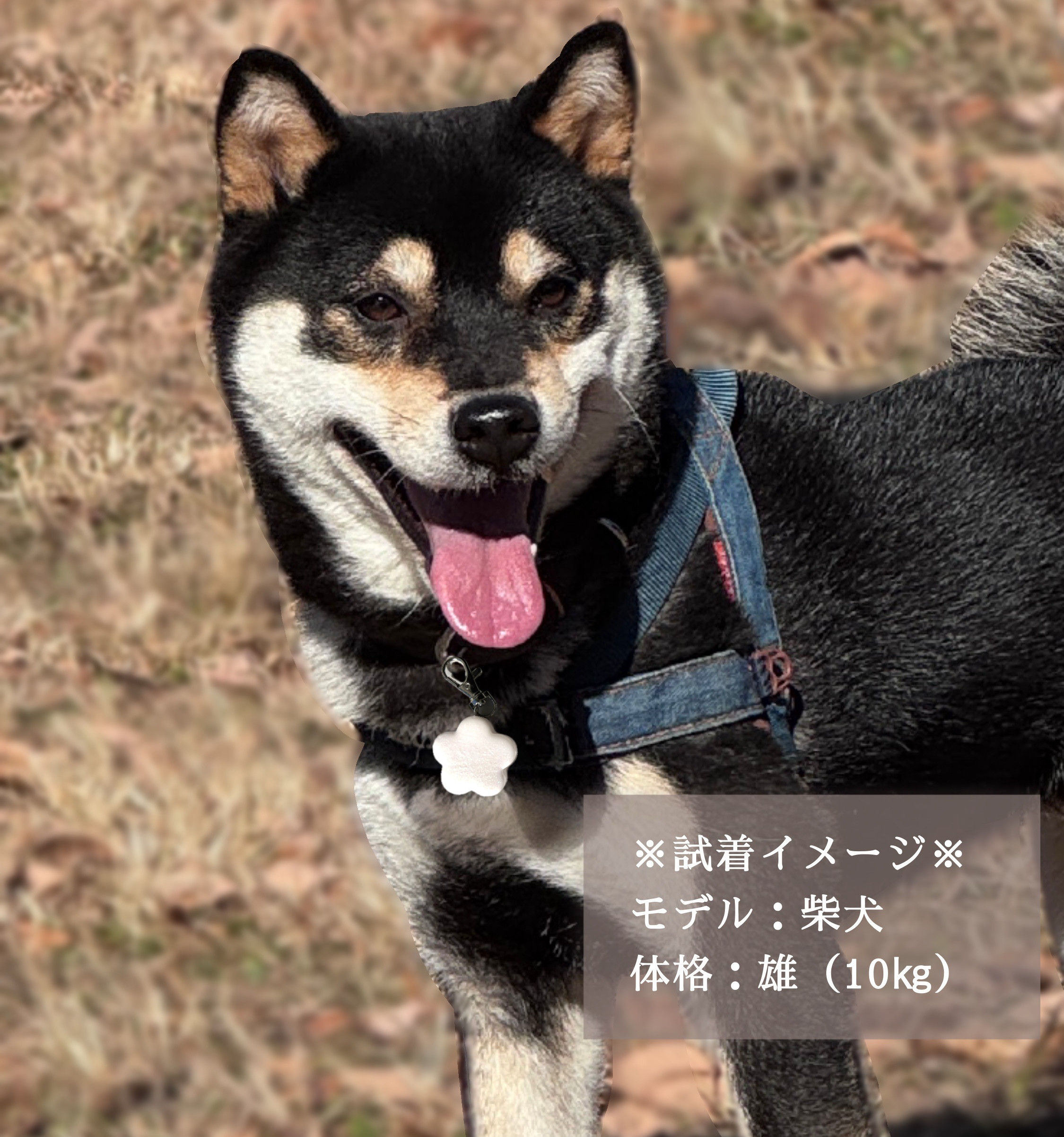 【ペットとお揃い】一粒花のイヤリング/ピアス & チャームセット【偏光・和柄】