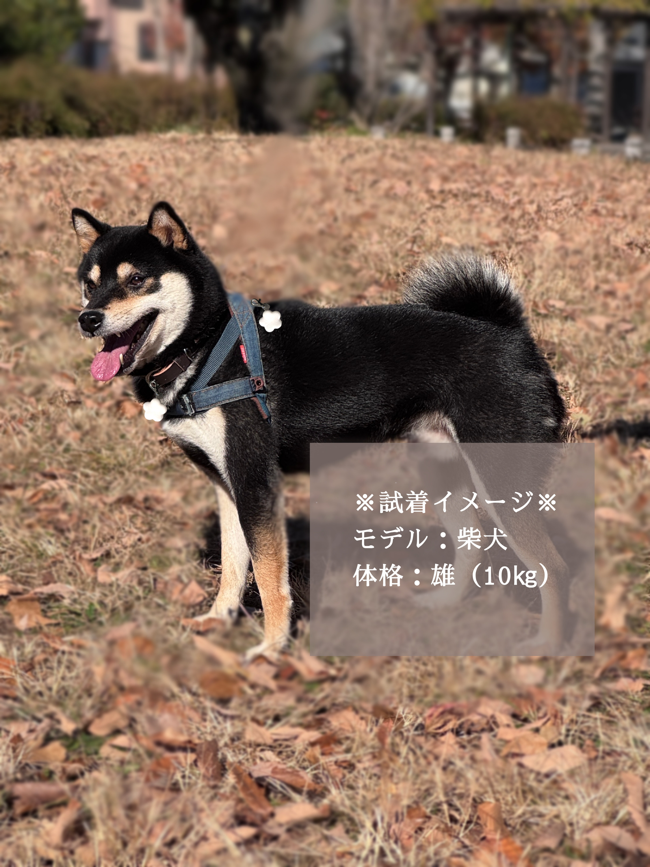 【ペットとお揃い】一粒花のイヤリング/ピアス & チャームセット【偏光・和柄】