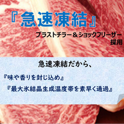 【父の日・プチギフトにも】お肉ソムリエ厳選牛タン3種食べ比べセット ・塩タンネギ包み・ワイルドタン元ステーキ・旨辛タン 11枚目の画像