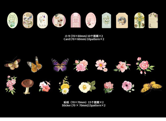  第5張的照片