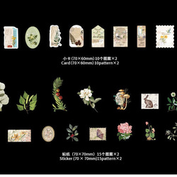  第9張的照片