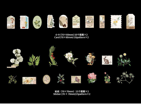  第9張的照片