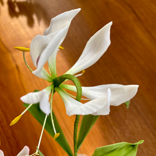 専用です。クレイフラワー 樹脂粘土のグロリオサ＊クレイフラワー＊一輪挿し アート