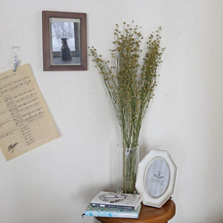 ドライフラワー アマ ＊ 亜麻 あま リンフラワー / 北海道産 花材 枝