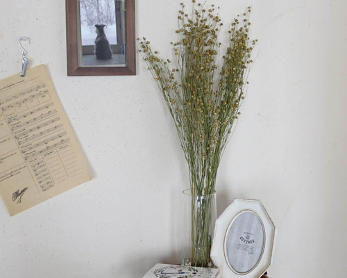 768a111d911eb6f8d0122400df05e9