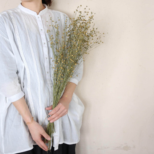 ドライフラワー アマ ＊ 亜麻 あま リンフラワー / 北海道産 花材 枝