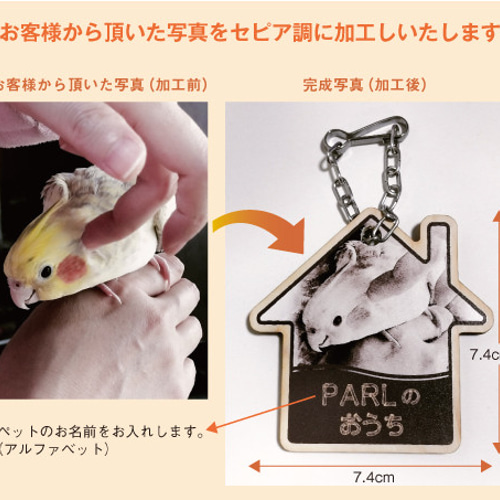 うちの仔 ケージ用 ネームプレート（名札）鳥、犬、猫、うさぎ