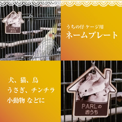 お名前プレートオルゴナイト 猫ちゃんワンちゃんに 9b8f4160cd1473e8c63a2cc0b03ba5