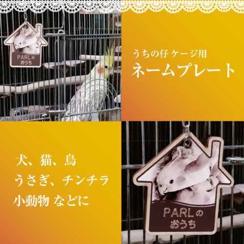 うちの仔 ケージ用 ネームプレート（名札）鳥、犬、猫、うさぎ