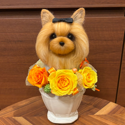 ♡すもも♡ページ 羊毛フェルト シーズー 6月作品 ウエディング a156ab92b29b017ef4cf96a1721c51