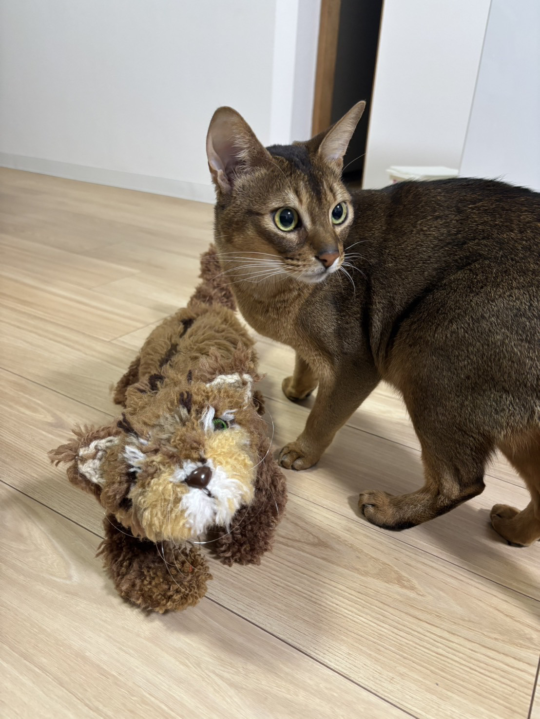 【受注制作】編みぐるみネコ